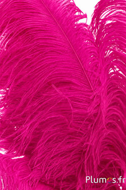 Struzzo premium - 50-60 cm - fucsia
